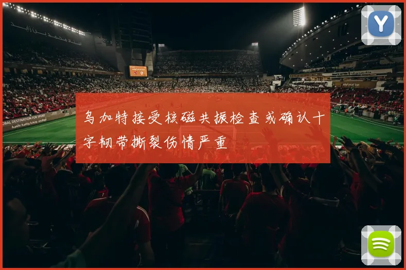 乌加特接受核磁共振检查或确认十字韧带撕裂伤情严重
