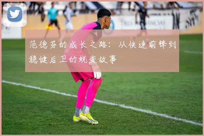 范德芬的成长之路：从快速前锋到稳健后卫的蜕变故事