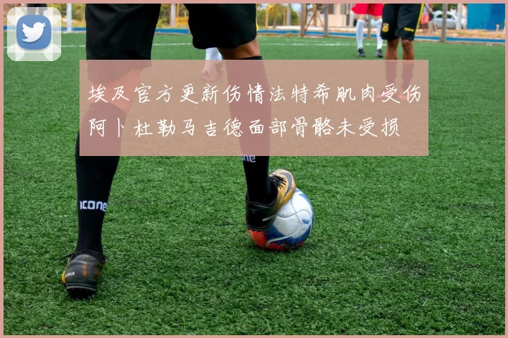 埃及官方更新伤情法特希肌肉受伤阿卜杜勒马吉德面部骨骼未受损